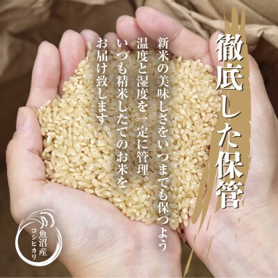 【毎月定期便】魚沼産 コシヒカリ 25kg 精米 (お米の美味しい炊き方ガイド付)全6回