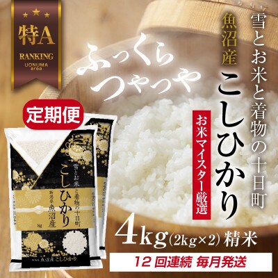 【毎月定期便】魚沼産 コシヒカリ 4kg 精米 (お米の美味しい炊き方ガイド付)全12回