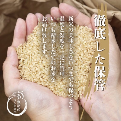 【毎月定期便】魚沼産 コシヒカリ 2kg 精米 (お米の美味しい炊き方ガイド付)全6回
