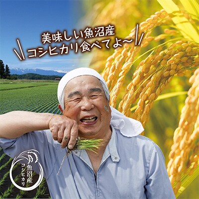 2023年3月発送開始『定期便』無洗米 魚沼産 コシヒカリ 20kg全6回