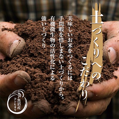 2023年3月発送開始『定期便』無洗米 魚沼産 コシヒカリ 20kg全6回
