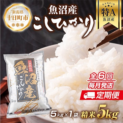 2023年2月発送開始『定期便』 魚沼産 コシヒカリ 5kg全6回