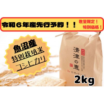 【令和6年産先行予約】魚沼産特別栽培米コシヒカリ〈清津の恵〉精米 2kg(1kg×2袋)
