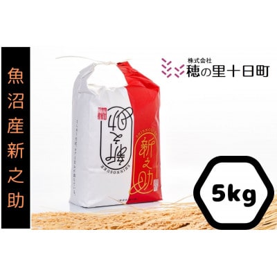 令和7年産【10月発送開始】魚沼産【新之助】精米5Kg