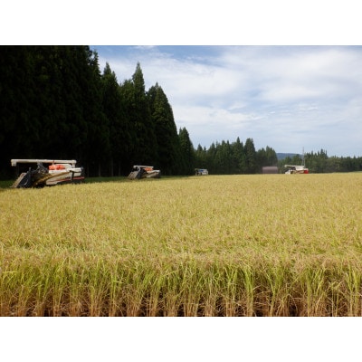 令和7年産【10月発送開始】魚沼産【新之助】精米2Kg