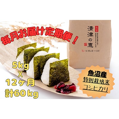 【毎月定期便】魚沼産特別栽培米コシヒカリ〈清津の恵〉(精米)毎月5kg全12回