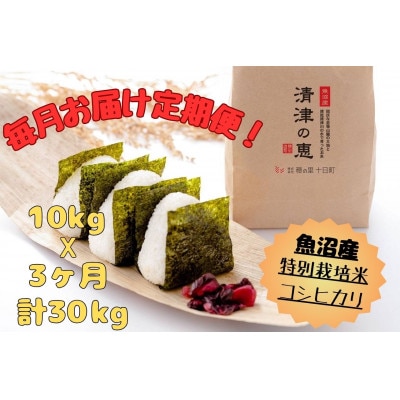 【毎月定期便】[通年受付]魚沼産特別栽培米コシヒカリ[清津の恵]精米10kg(5kg×2袋)全3回