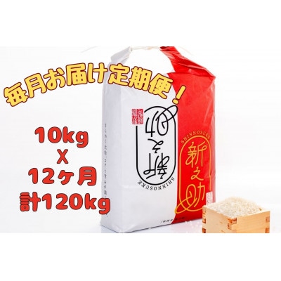 【毎月定期便】[通年受付]魚沼産新之助精米10kg(5kg×2袋)全12回