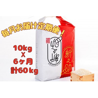 【毎月定期便】[通年受付]魚沼産新之助精米10kg(5kg×2袋)全6回
