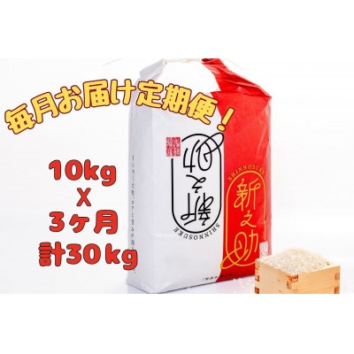 【毎月定期便】[通年受付]魚沼産新之助精米10kg(5kg×2袋)全3回