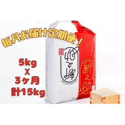【毎月定期便】[通年受付]魚沼産新之助精米5kg全3回