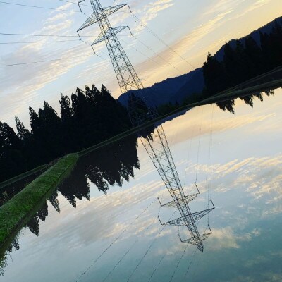 【毎月定期便】[通年受付]魚沼産新之助精米5kg全3回