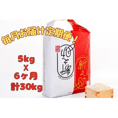 【毎月定期便】[通年受付]魚沼産新之助精米5kg全6回
