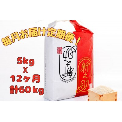 【毎月定期便】[通年受付]魚沼産新之助精米5kg全12回