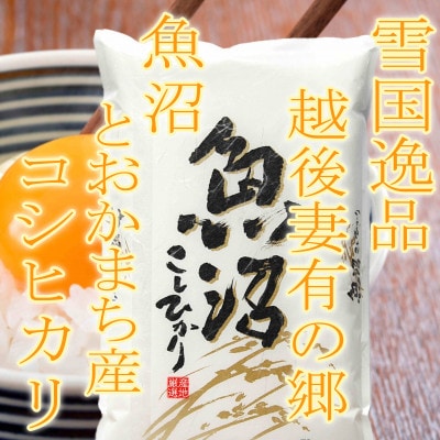 【令和7年産　先行受付】【雪国逸品4Kg】 越後妻有の郷 魚沼十日町産コシヒカリ(精米)