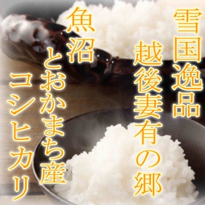 【令和7年産　先行受付】【雪国逸品20Kg】 越後妻有の郷 魚沼十日町産コシヒカリ(精米)