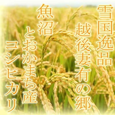 2023年11月発送開始『定期便』【雪国逸品2Kg】 越後妻有の郷 魚沼十日町産コシヒカリ全6回