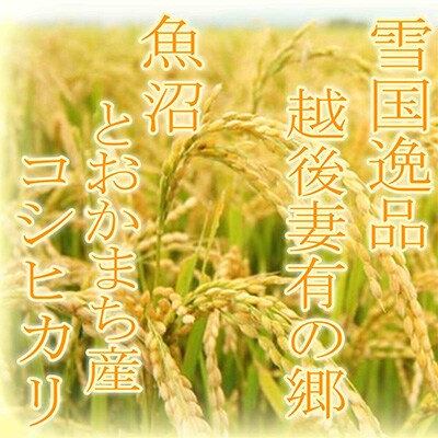2023年11月発送開始『定期便』●玄米●雪国逸品2Kg●越後妻有の郷魚沼十日町産コシヒカリ全12回