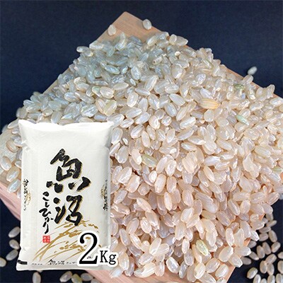 2023年11月発送開始『定期便』●玄米●雪国逸品2Kg●越後妻有の郷魚沼十日町産コシヒカリ全12回