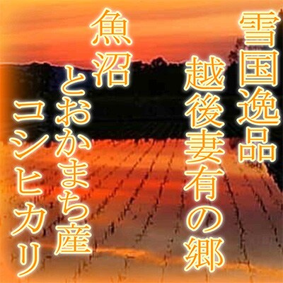 2023年9月発送開始『定期便』●玄米●雪国逸品5Kg●越後妻有の郷 魚沼十日町産コシヒカリ全3回