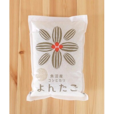 【早い者勝ち!】あま!うま!ミネラル栽培の魚沼産従来コシヒカリ精米5kg