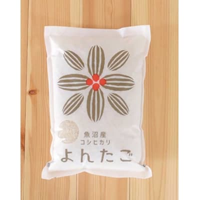 【早い者勝ち!】あま!うま!ミネラル栽培の魚沼産従来コシヒカリ精米10kg(5kg×2)