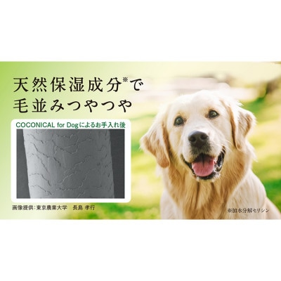 天然シルク配合 愛犬用シャンプー　300mL　COCONICAL for Dog