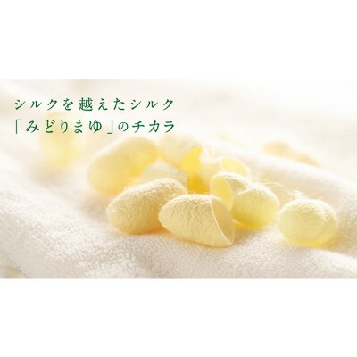 天然シルク配合 愛犬用シャンプー　300mL　COCONICAL for Dog