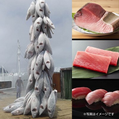 天然メバチマグロ 赤身 切り落とし 160g×4パック 新潟県十日町市