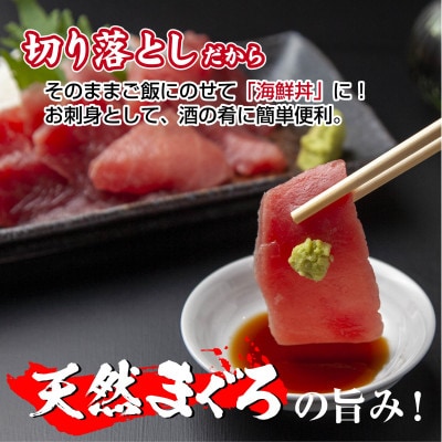 【熨斗付き】天然メバチマグロ 赤身 切り落とし 160g×4パック 新潟県十日町市