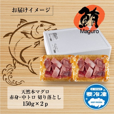 天然本マグロ 切り落とし 赤身 中トロ 150g×2パック 計300g 新潟県十日町市