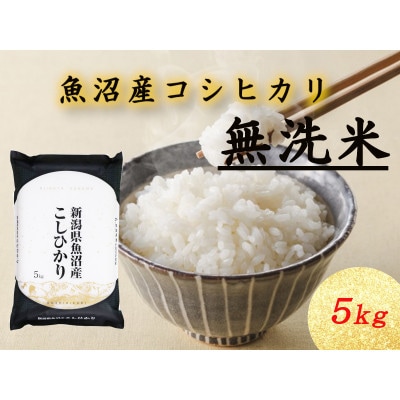 魚沼産コシヒカリ　無洗米5kg×1