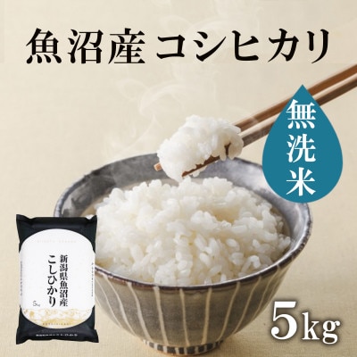 魚沼産コシヒカリ　無洗米5kg×1