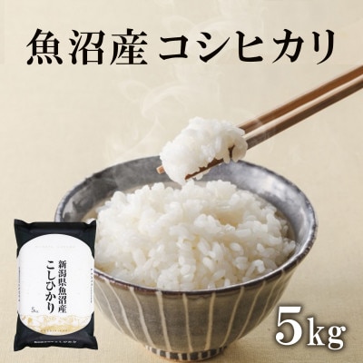 魚沼産コシヒカリ　5kg×1