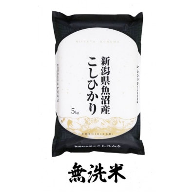 【令和6年産　10月発送】魚沼産コシヒカリ 無洗米(精米)　5kg×1
