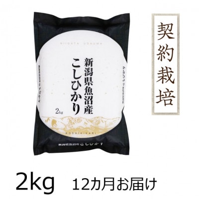 【毎月定期便】魚沼産コシヒカリ　2kg全12回