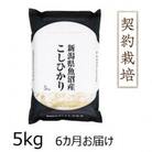 【毎月定期便】魚沼産コシヒカリ　5kg全6回