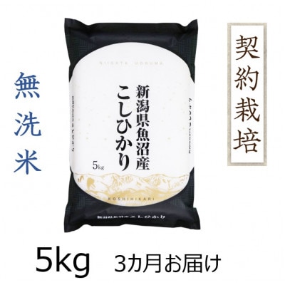 【毎月定期便】魚沼産コシヒカリ無洗米　5kg全3回