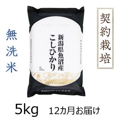 【毎月定期便】魚沼産コシヒカリ無洗米　5kg全12回