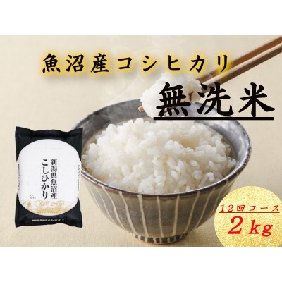 【毎月定期便】魚沼産コシヒカリ無洗米(精米)[2kg×1袋]全12回