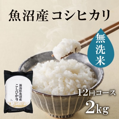 【毎月定期便】魚沼産コシヒカリ無洗米(精米)[2kg×1袋]全12回