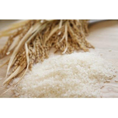 【毎月定期便】魚沼産コシヒカリ　精米4kg(2kg×2袋)全3回