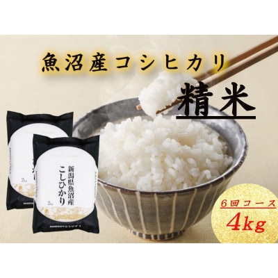 【毎月定期便】魚沼産コシヒカリ　精米4kg(2kg×2袋)全6回