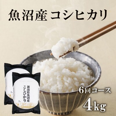【毎月定期便】魚沼産コシヒカリ　精米4kg(2kg×2袋)全6回