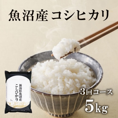 【毎月定期便】魚沼産コシヒカリ(精米)5kg×1袋全3回