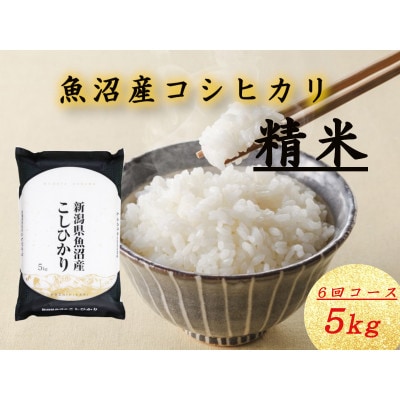 【毎月定期便】魚沼産コシヒカリ(精米)5kg×1袋全6回