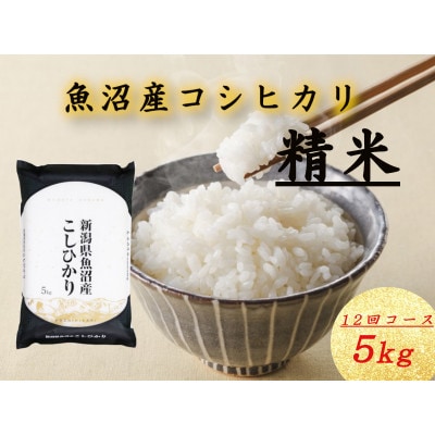 【毎月定期便】魚沼産コシヒカリ(精米)5kg×1袋全12回