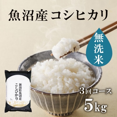 【毎月定期便】無洗米 魚沼産コシヒカリ(精米)5kg×1袋全3回