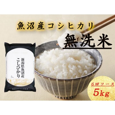 【毎月定期便】無洗米 魚沼産コシヒカリ(精米)5kg×1袋全6回