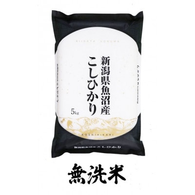 【毎月定期便】無洗米 魚沼産コシヒカリ(精米)5kg×1袋全6回